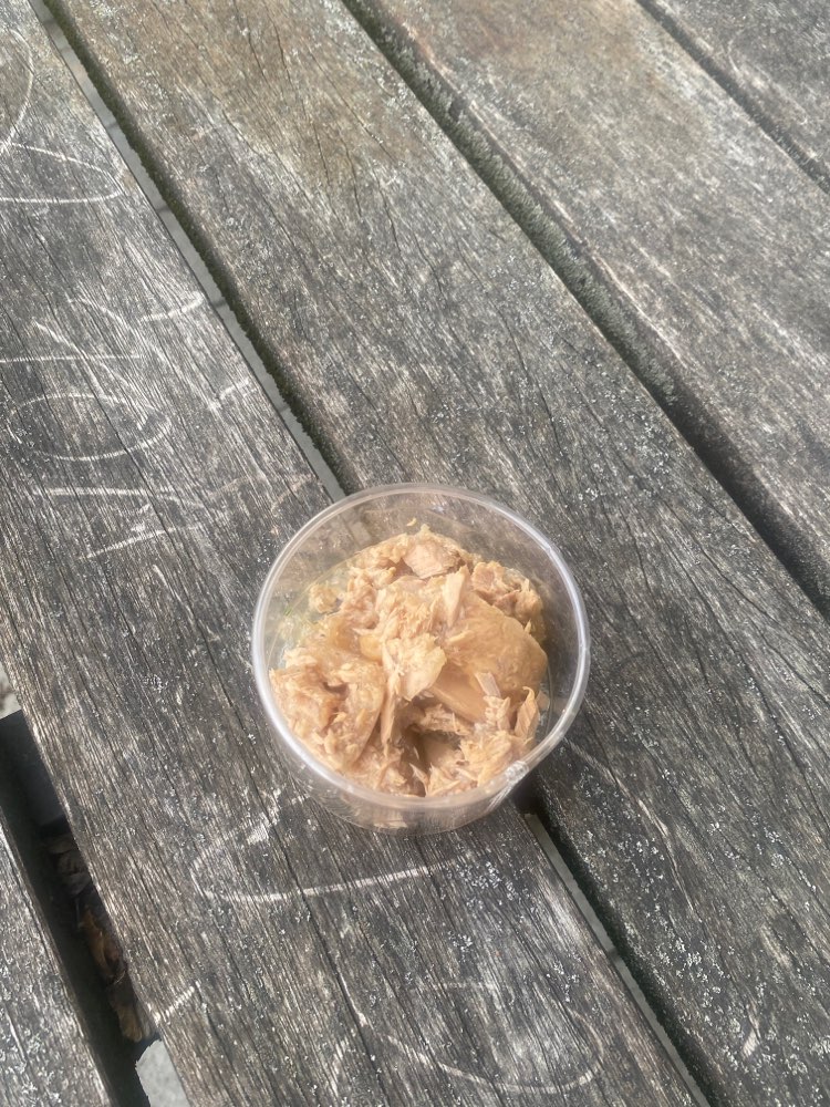 Giftköder-Evtl. Giftköder-Profilbild