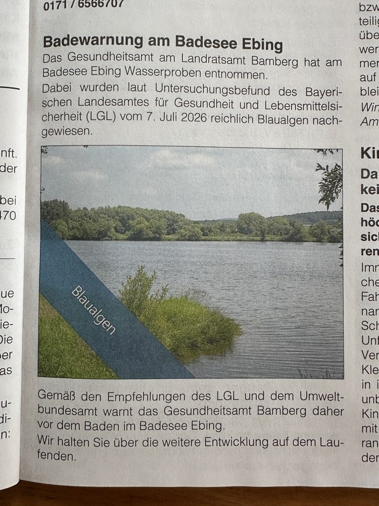 Giftköder-Blaualgen Badesee Ebing-Profilbild