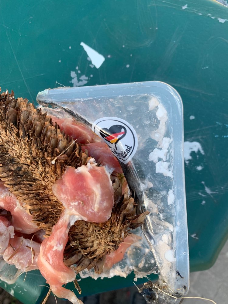 Giftköder-Giftköder-Profilbild