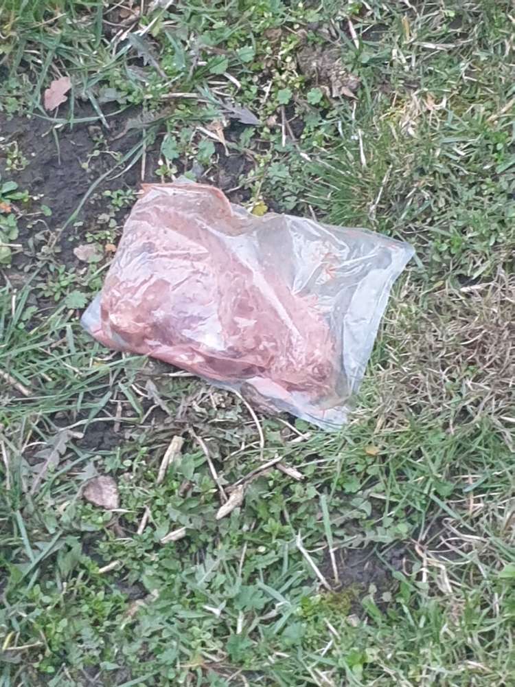 Giftköder-Vermutlichergifftköder-Profilbild