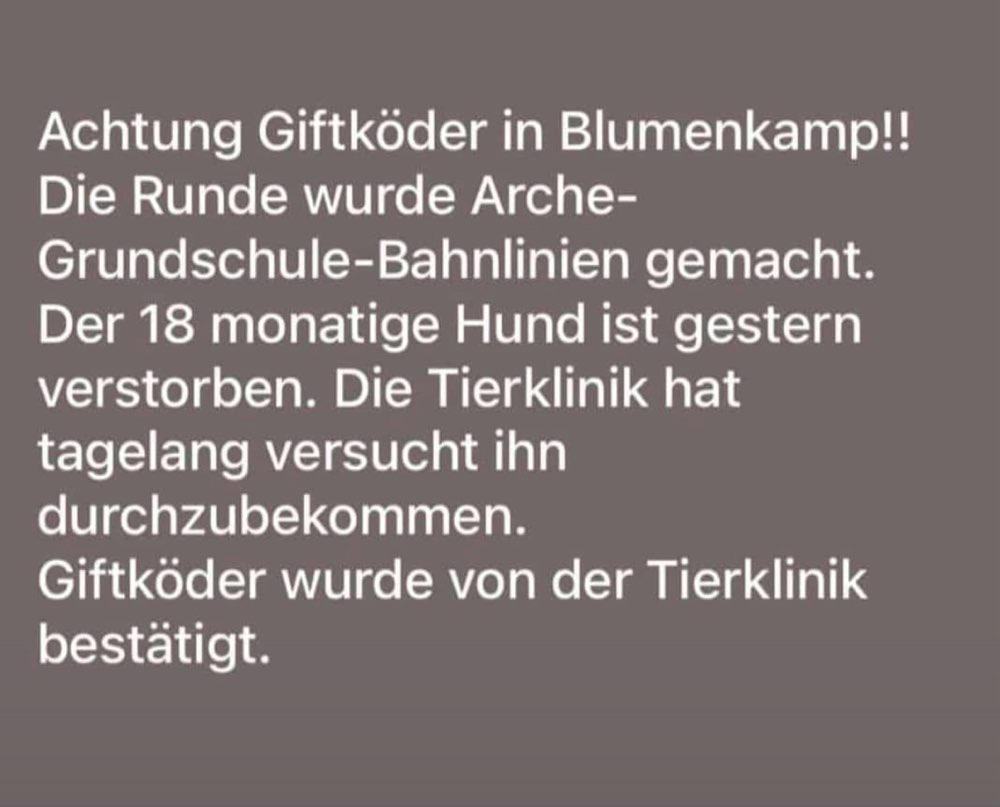 Giftköder-Giftköder!-Profilbild