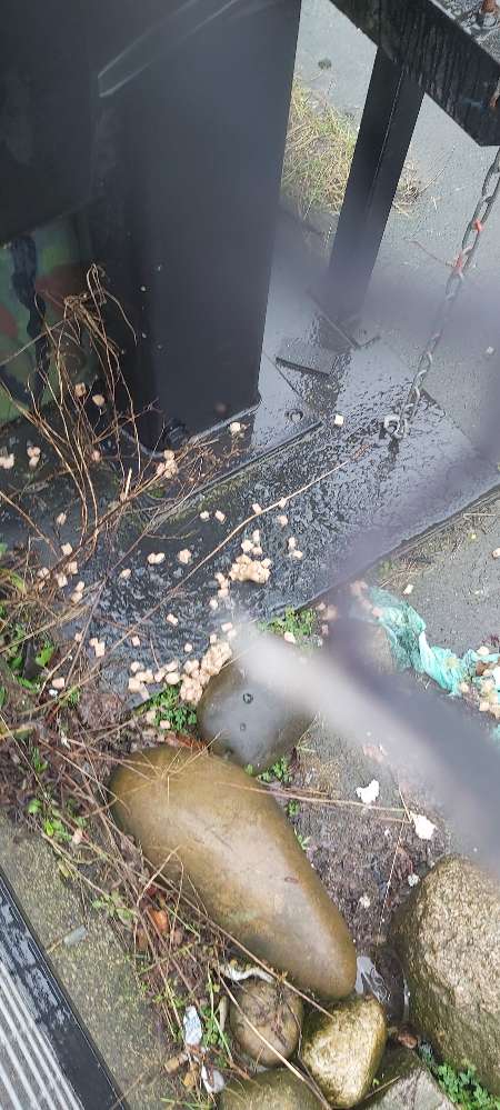 Giftköder-Unbekanntes Futter-Profilbild