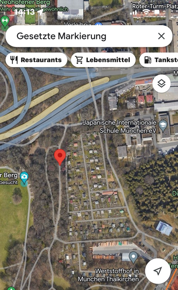 Giftköder-Totes Eichhörnchen am Baum nahe Weg-Profilbild