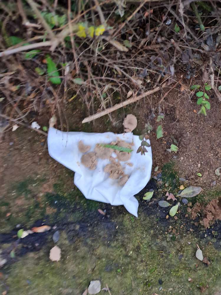 Giftköder-Giftköder gegenüber Tankstelle-Profilbild