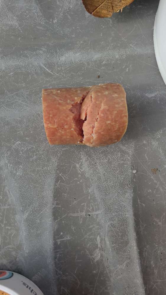 Giftköder-Salamistück-Profilbild