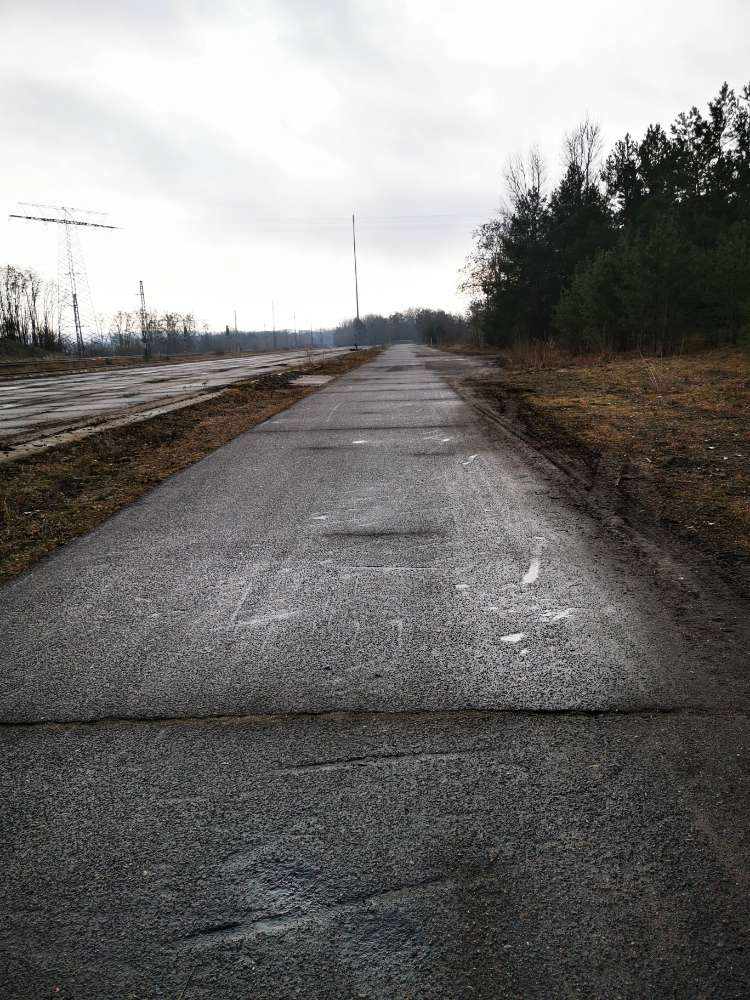 Hundetreffen-Große Runde im Wald am Kanal und im umgebenen Wald-Profilbild