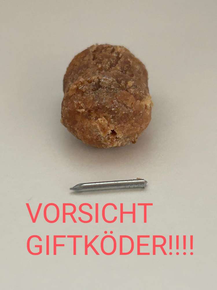 Giftköder-Köder mit Nägeln-Profilbild