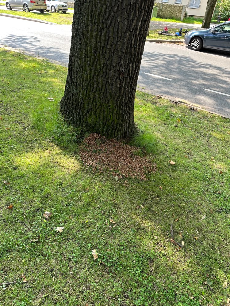 Giftköder-Große Futtermenge - Vorsicht!-Profilbild