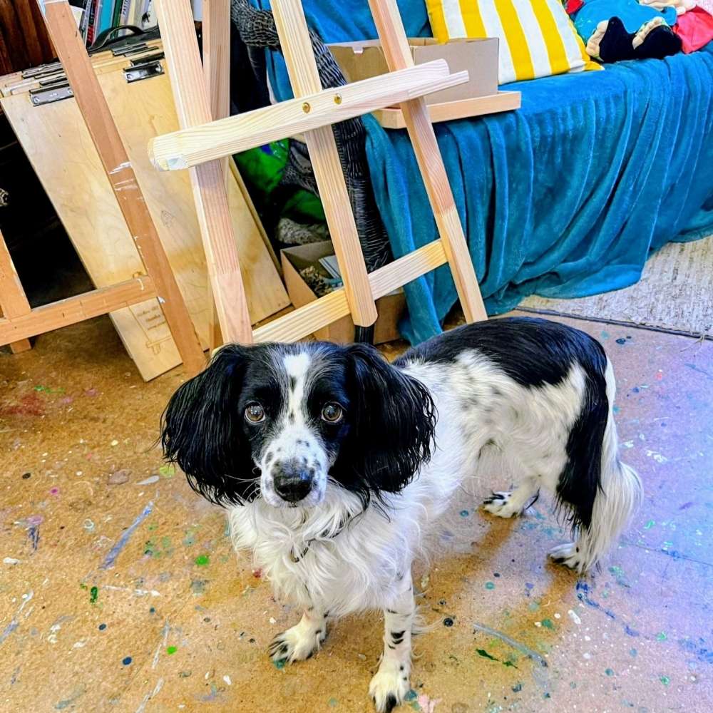 141. Farben Challenge Banner