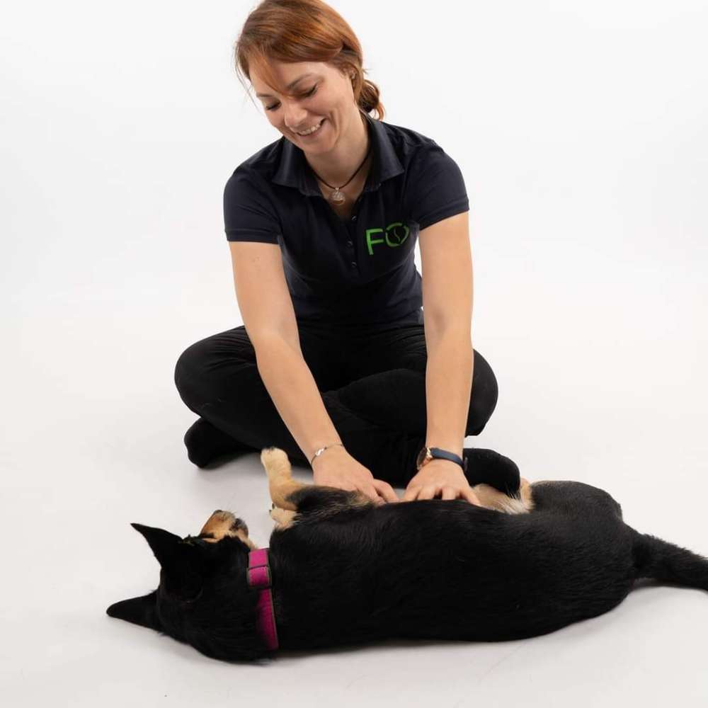 Hundetreffen-Trainingspartner-Profilbild