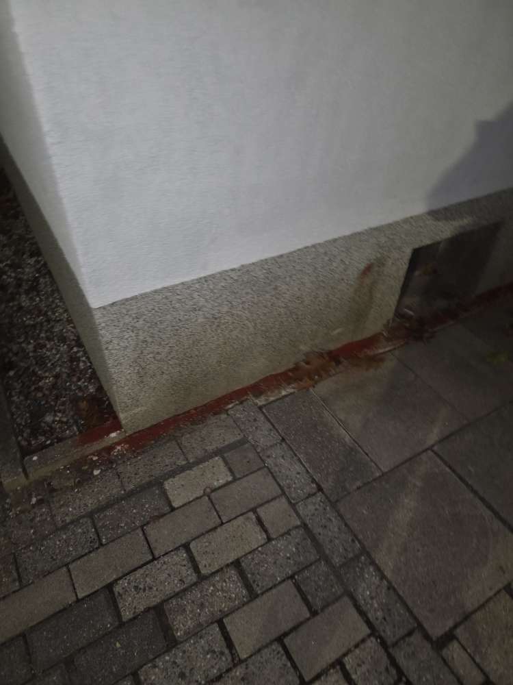 Giftköder-Rattengift, Unbekanntes rötliches Pulver-Profilbild