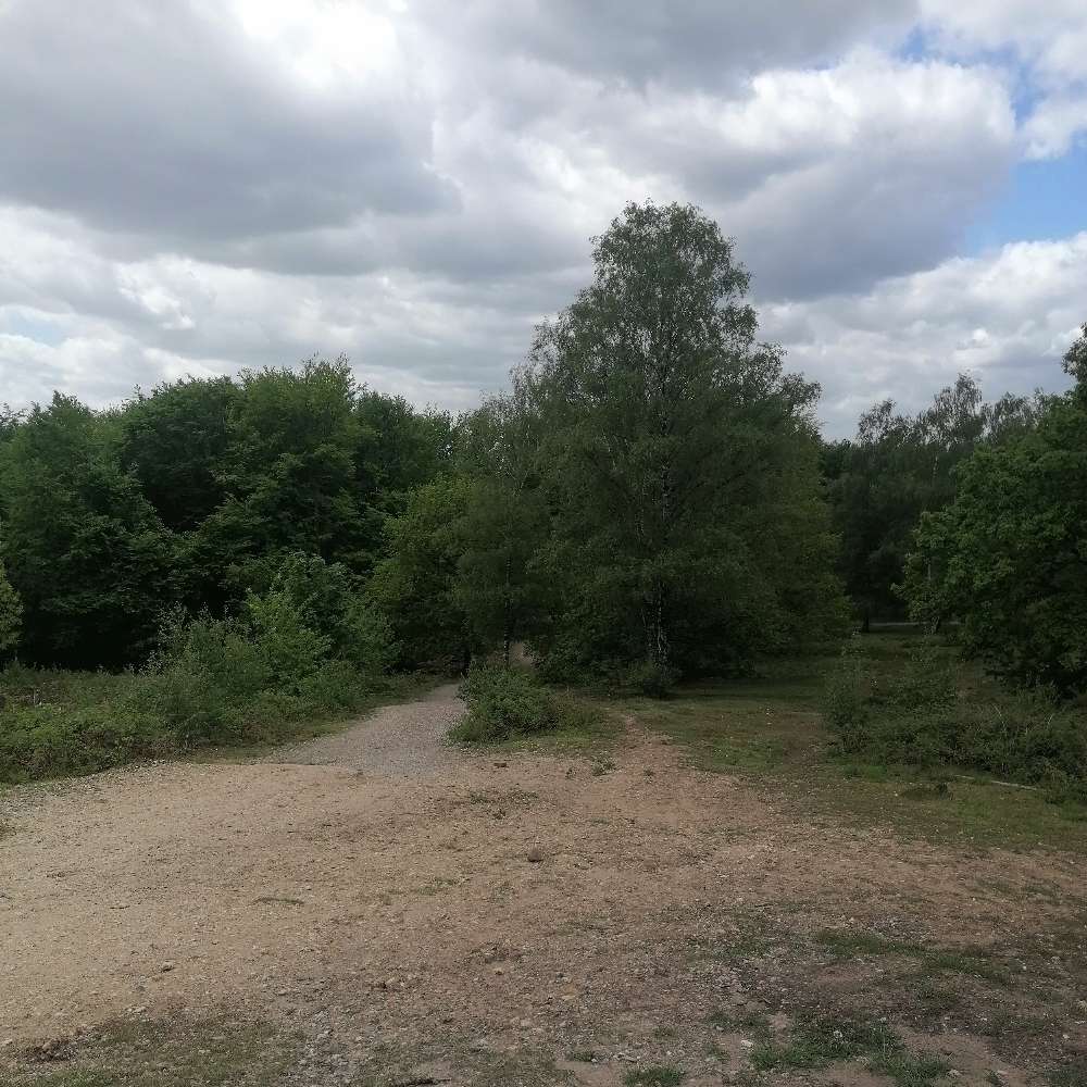 Hundetreffen-Dackel treffen-Profilbild