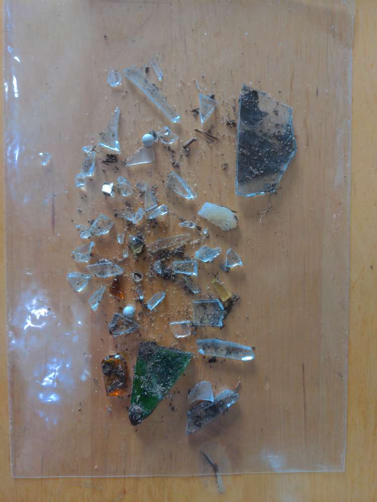 Giftköder-Glasscherben auf dem Weg-Profilbild