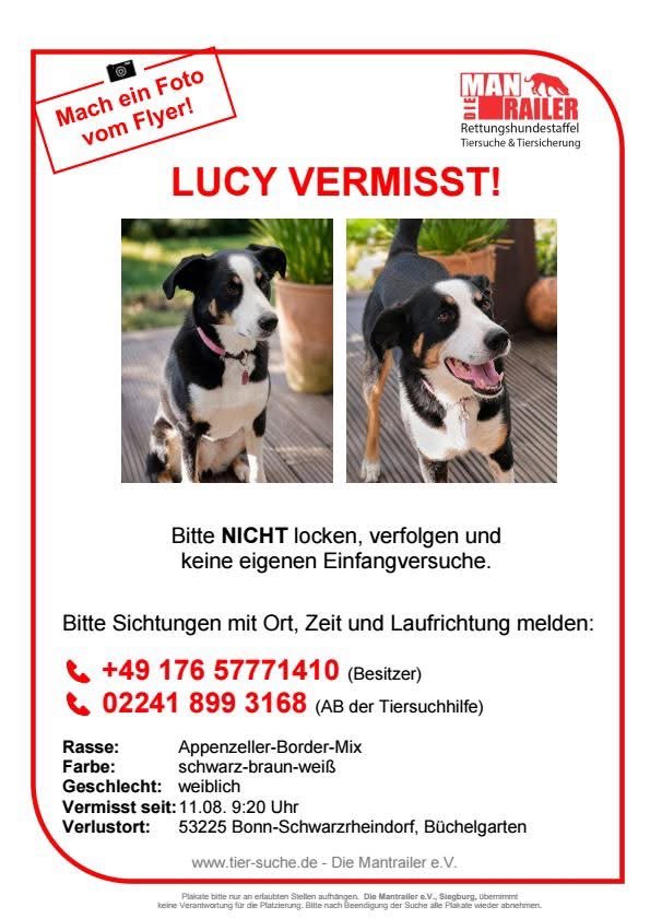 Suchmeldung-Lucy-Profilbild