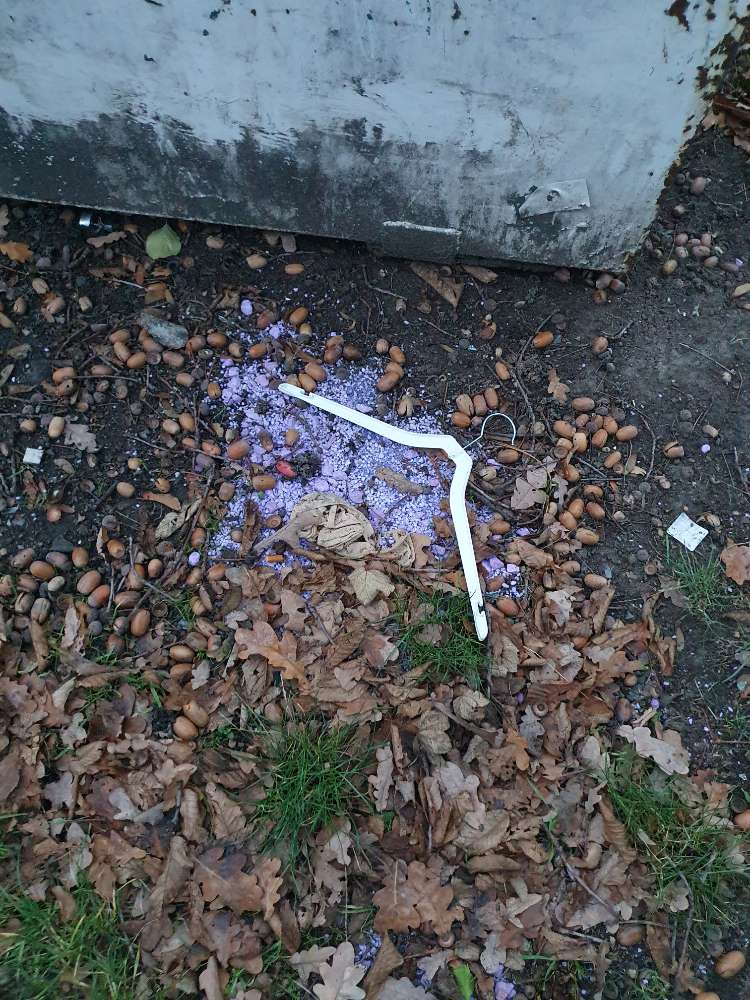 Giftköder-Rattengift?-Profilbild