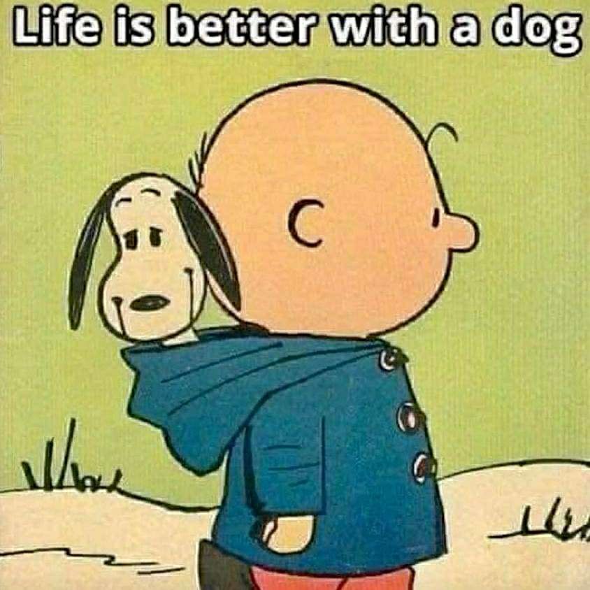 Hundetreffen-Toben und Spielen-Profilbild