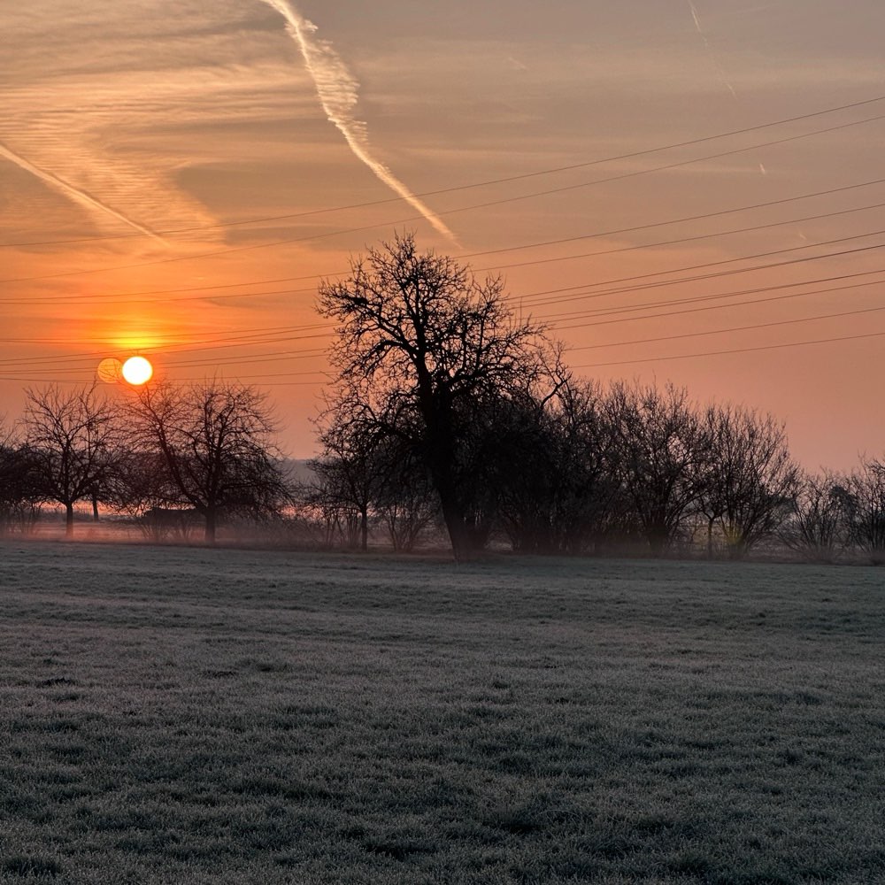 Hundetreffen-Gesucht: Souveräne(r) Hund(e) für Spaziergänge-Profilbild