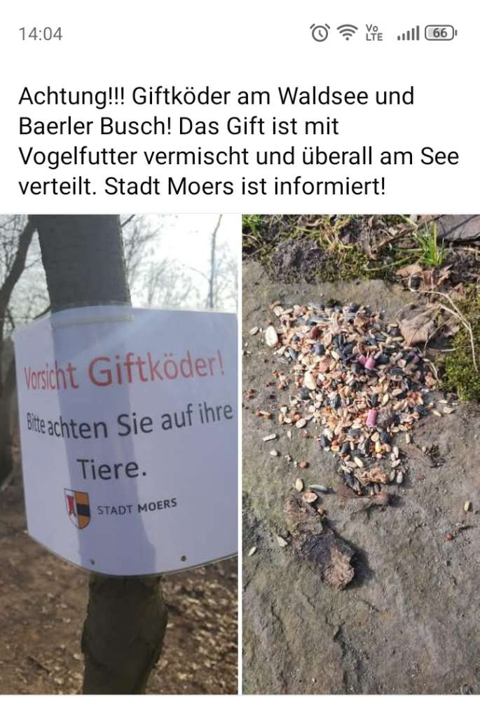 Giftköder-Rattengift-Profilbild