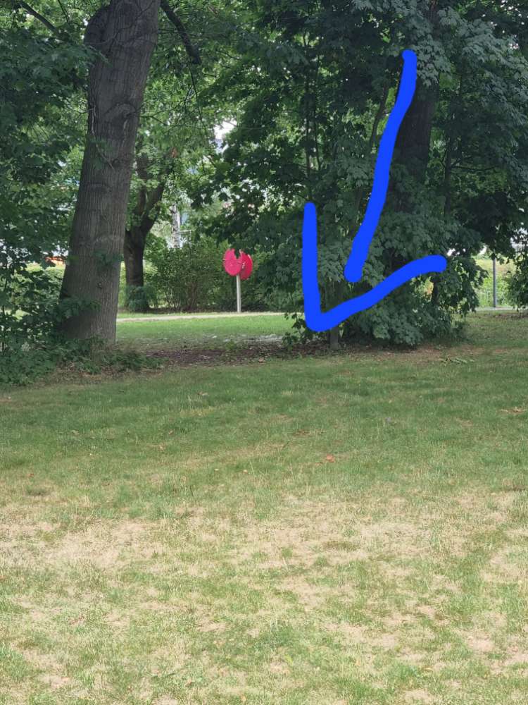 Giftköder-Erdbienen oder Erdwespen-Profilbild