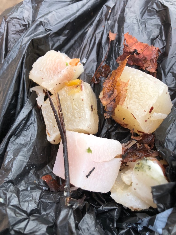 Giftköder-Wiblingen: Geleewürfel-Profilbild