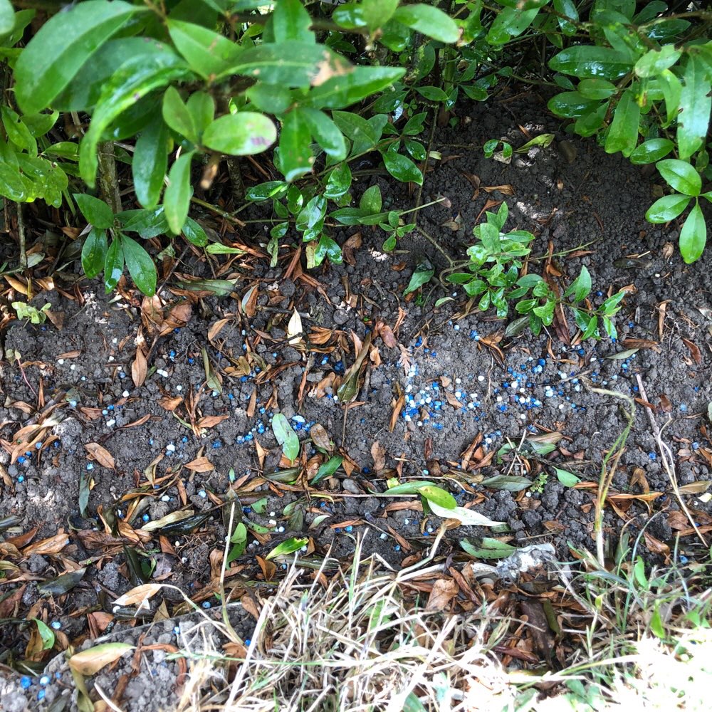 Giftköder-Schneckenkorn-Profilbild