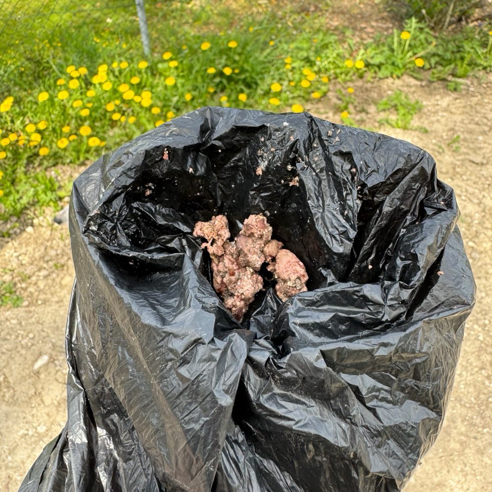 Giftköder-Fleischreste am Wegesrand-Profilbild