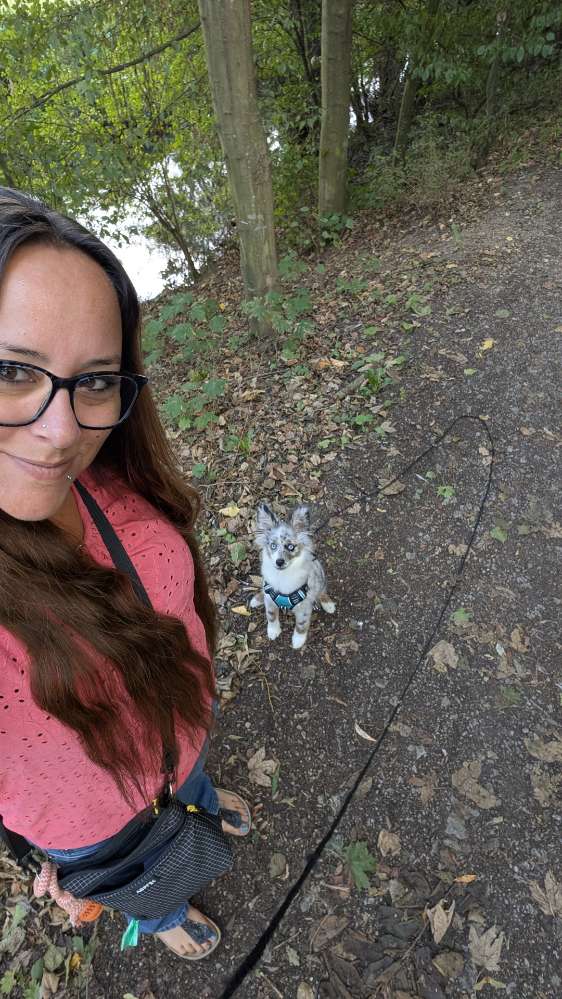 Hundetreffen-Trainingstreffen-Profilbild