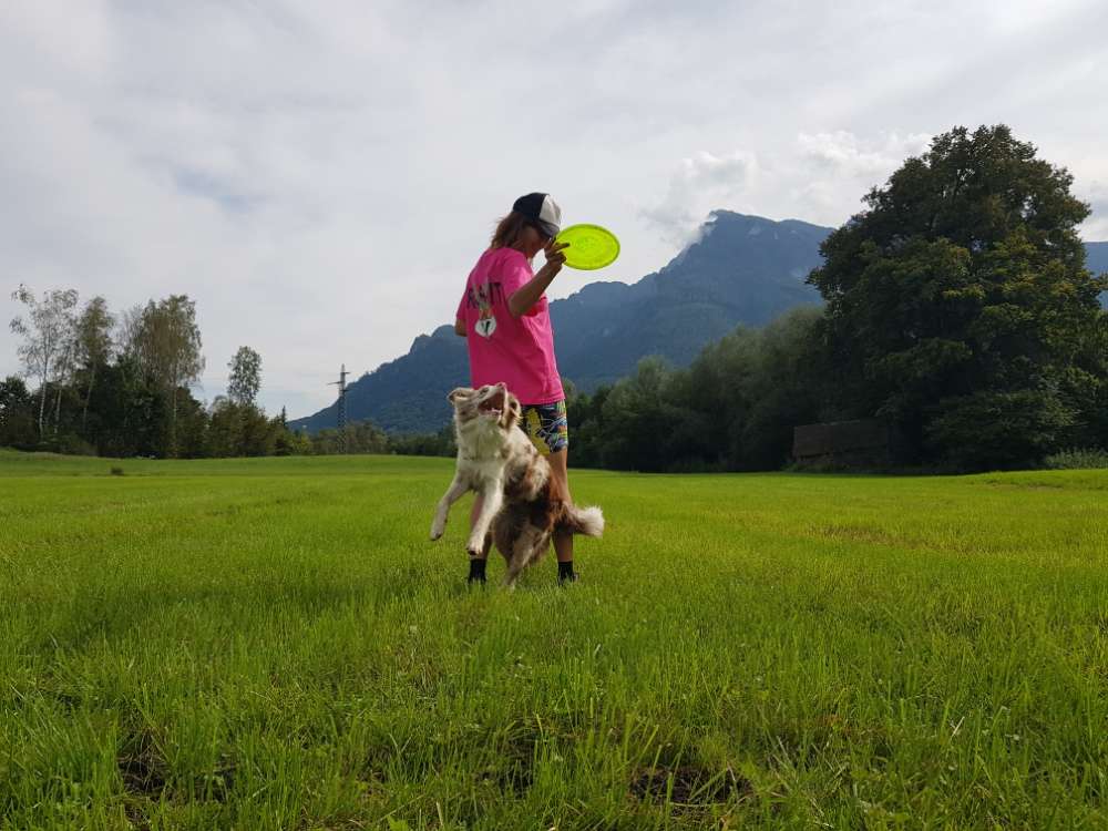 Hundetreffen-Spiel/wandernpartner-Profilbild