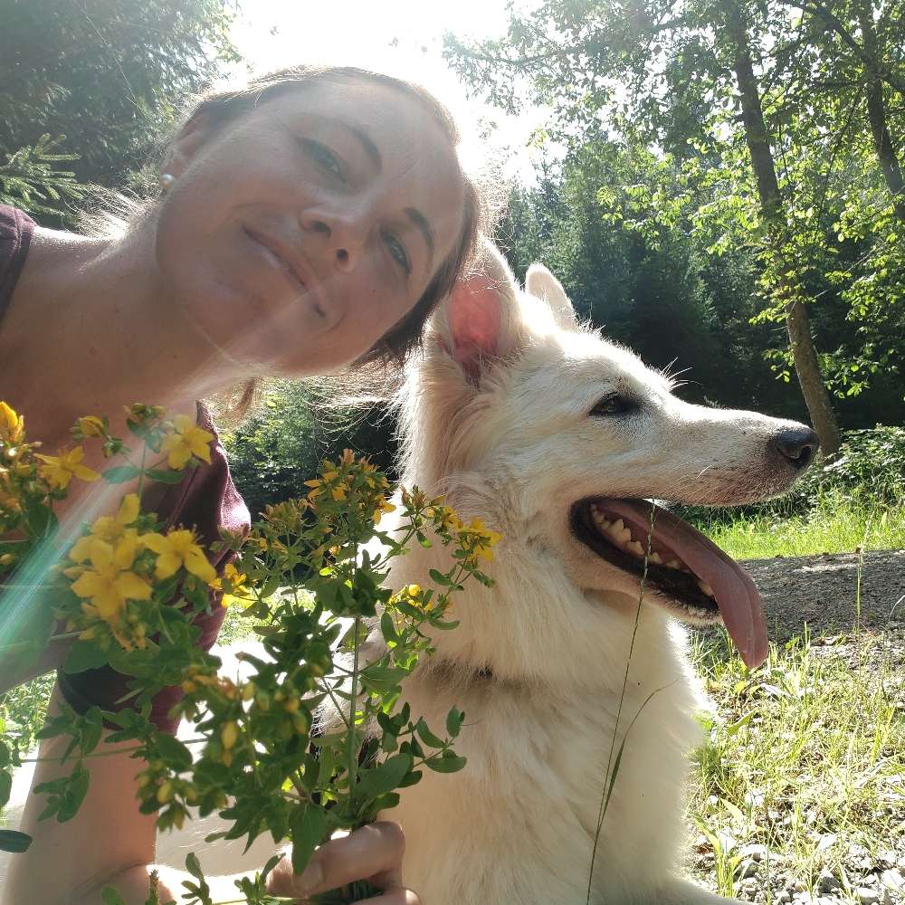 Hundetreffen-Spazieren&Spielen-Profilbild