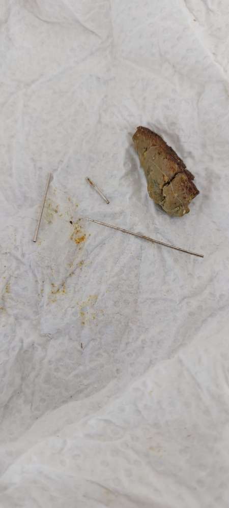 Giftköder-Köder mit Nadeln-Profilbild