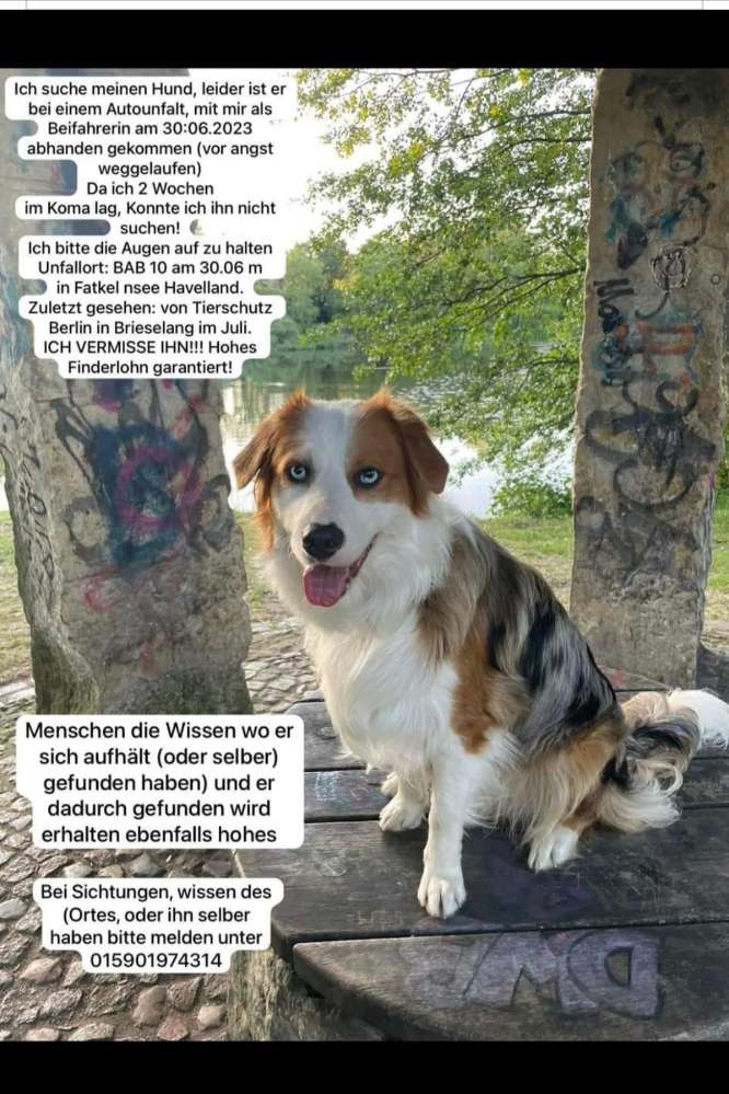 Suchmeldung-Rico-Profilbild