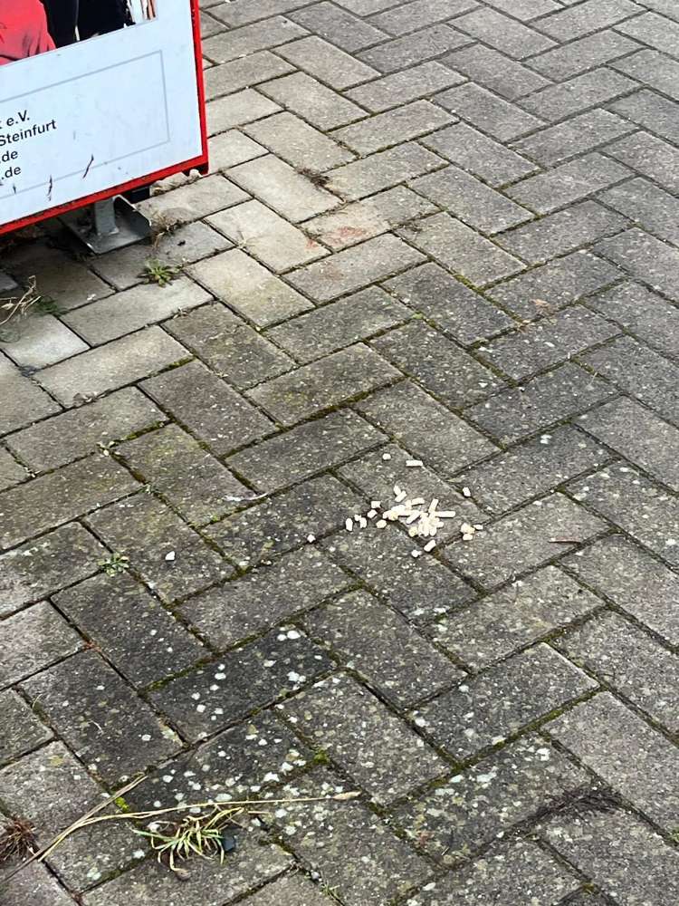 Giftköder-Giftköder-Profilbild