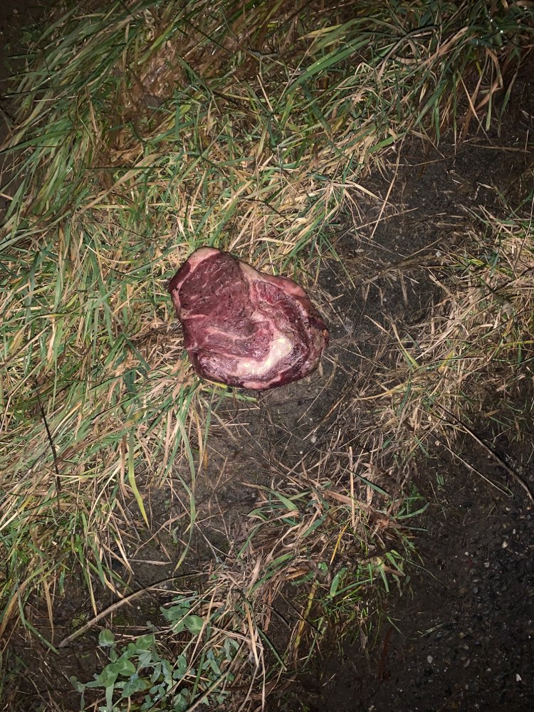 Giftköder-Verdächtiges Steak-Profilbild
