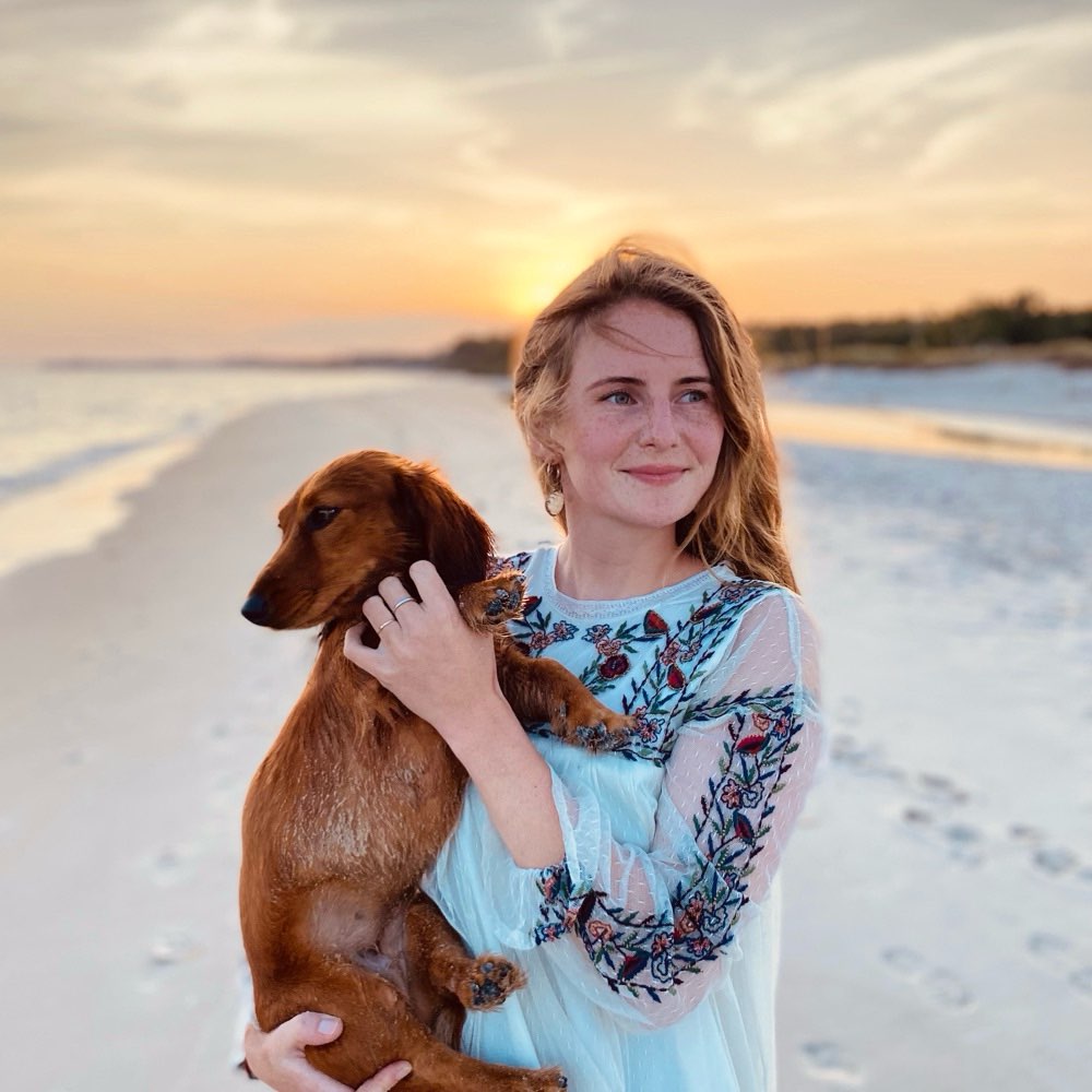 Hundetreffen-Gassifreunde gesucht-Profilbild