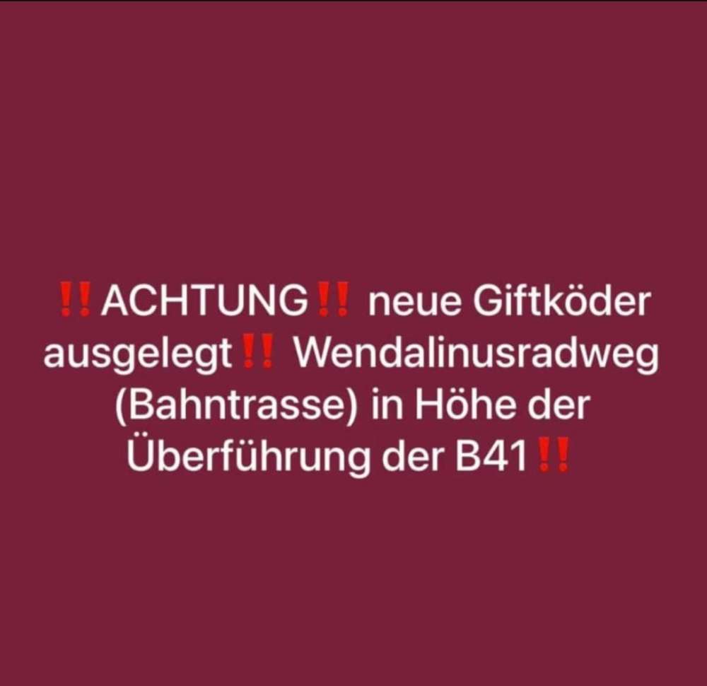 Giftköder-Giftköder-Profilbild