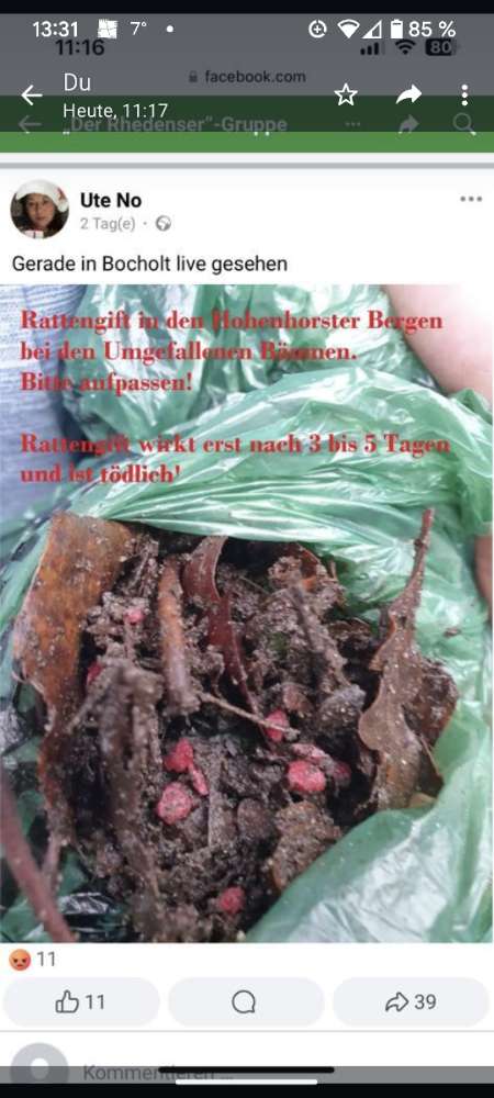 Giftköder-Giftköder-Profilbild