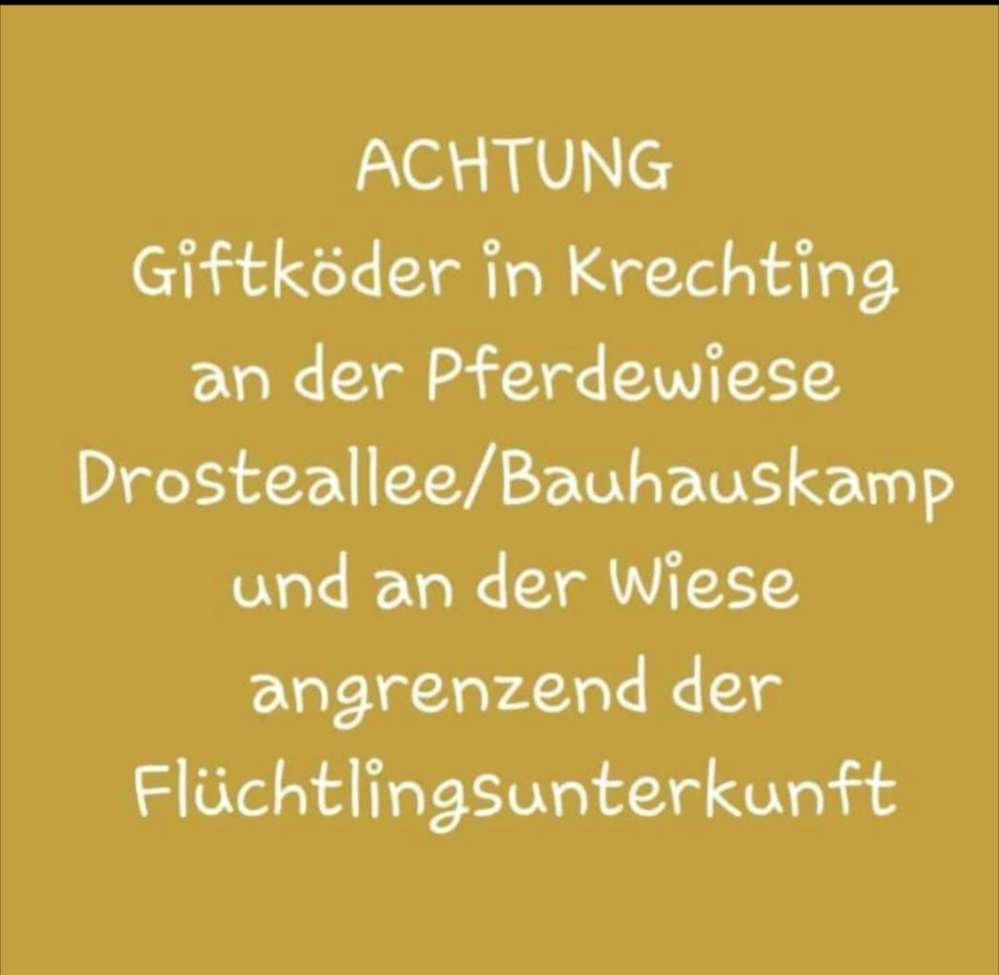 Giftköder-Giftköder-Profilbild