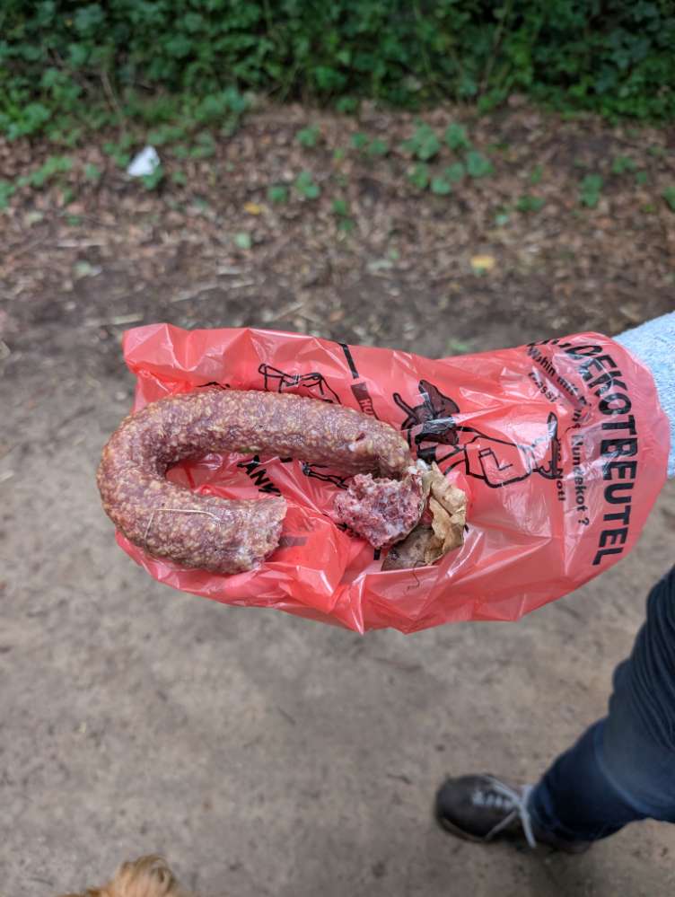 Giftköder-Giftköder?-Profilbild