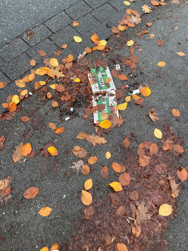 Giftköder-Glassplitter von mehreren Bierflaschen-Profilbild