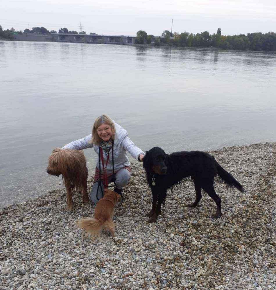 Hundetreffen-Hundezone roter Berg-Profilbild