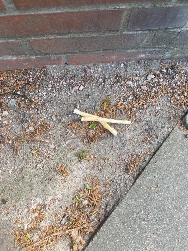 Giftköder-Kaustangen an mehreren Orten ausgelegt-Profilbild