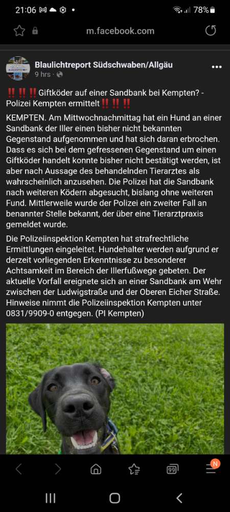 Giftköder-Giftköder-Profilbild