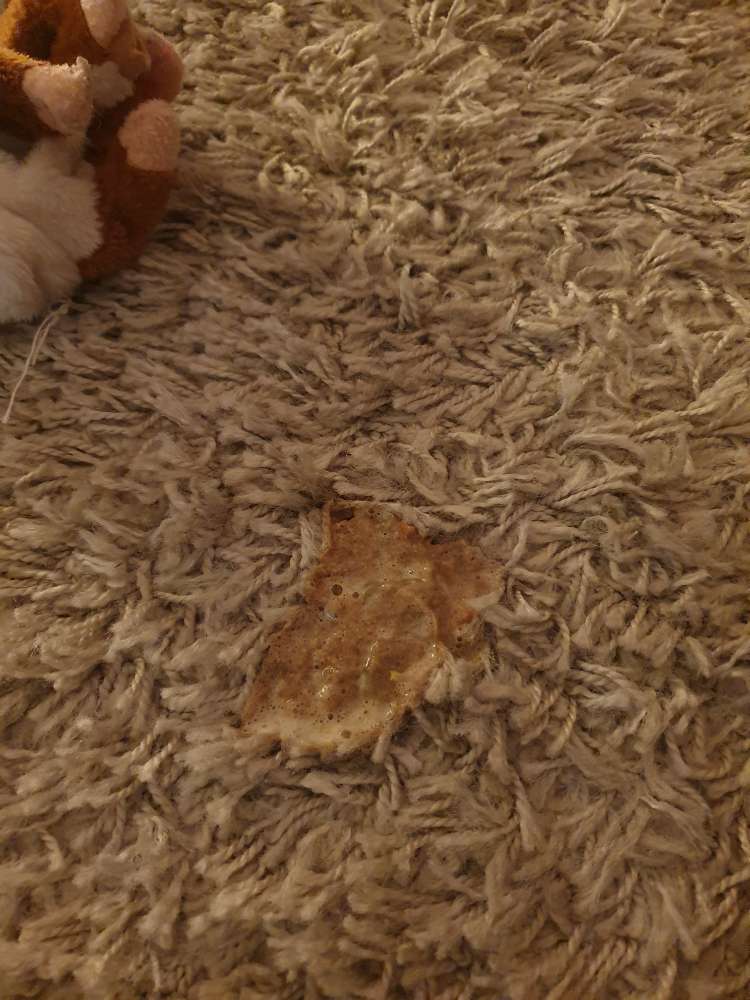 Giftköder-Substanz, die Übelkeit hervorruft-Profilbild