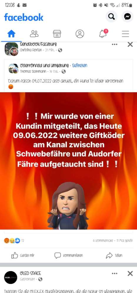 Giftköder-Giftköder am Kanal-Profilbild