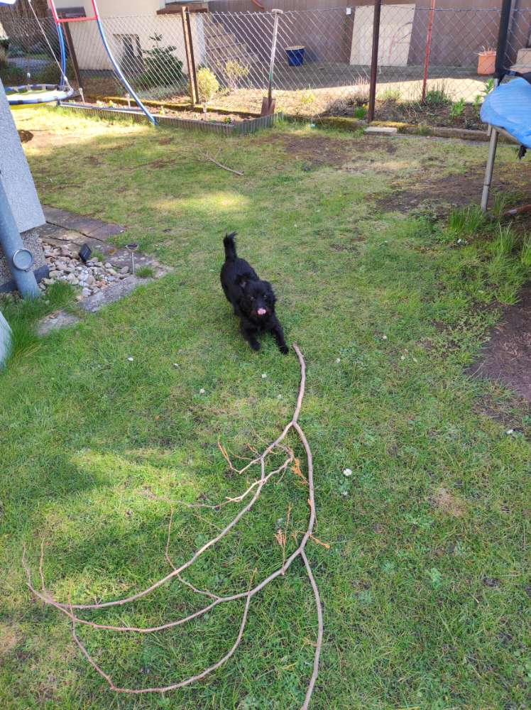 Giftköder-ACHTUNG!!!! Köder mit Rasierklingen!!!-Profilbild