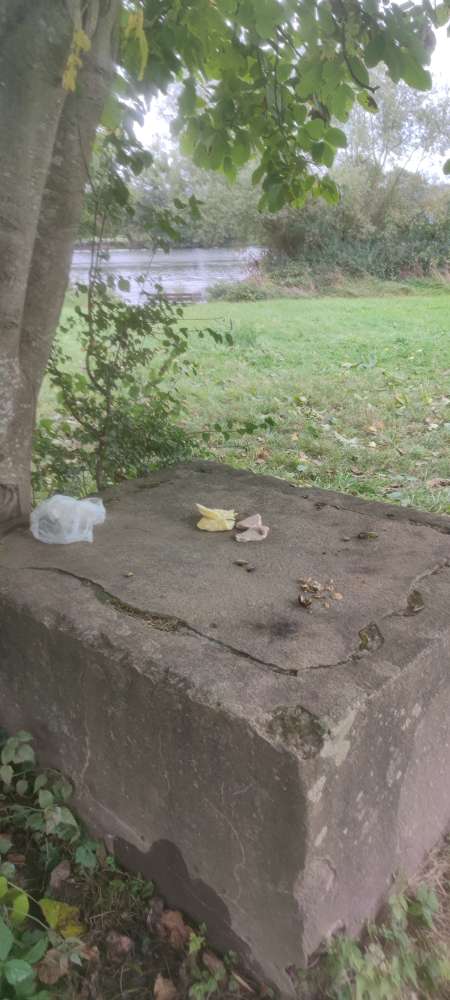 Giftköder-Ausgelegtes Fleisch und Käse!!-Profilbild