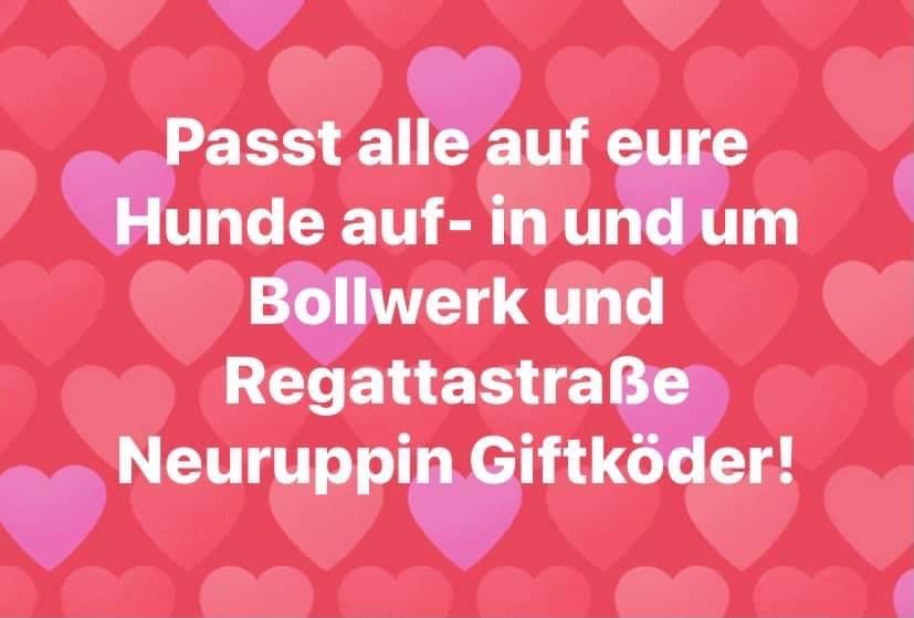 Giftköder-Gift-Profilbild