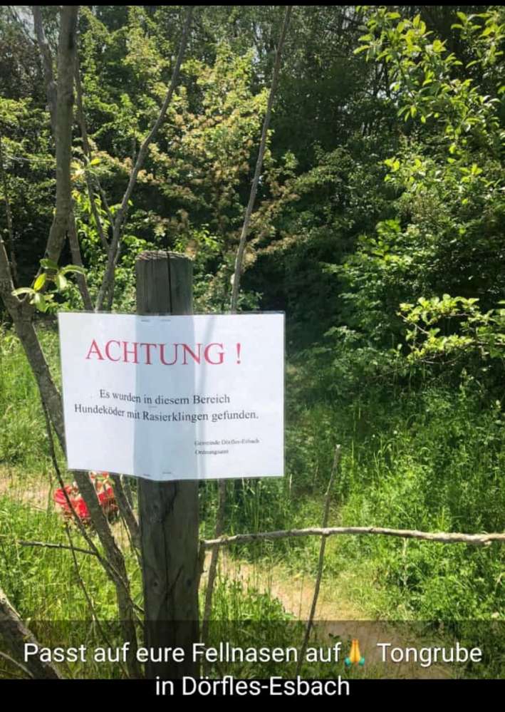 Giftköder-köder mit Rasierklingen-Profilbild