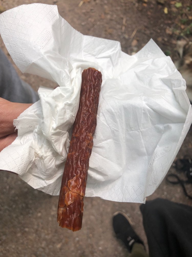 Giftköder-Ganze Wurst im Allmendwald-Profilbild