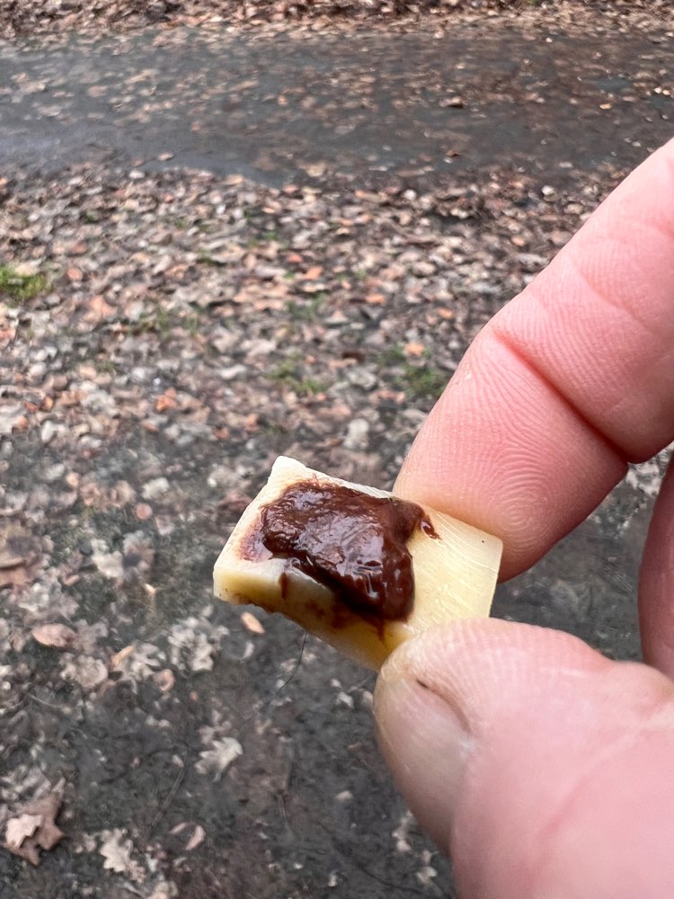 Giftköder-Giftköder-Profilbild